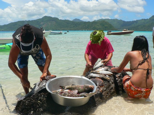 73- Les femmes nettoient le poisson 